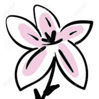 lily (1)